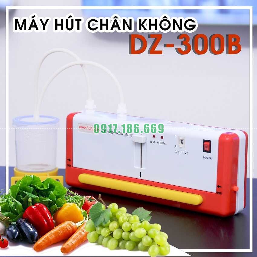 máy hút chân không dz-300b