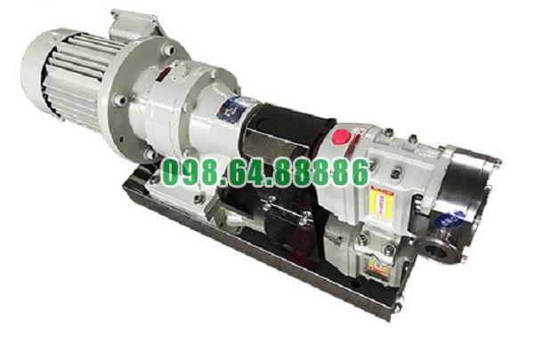 Máy bơm cánh khế 3RP-60 lưu lượng 18 m3/h tốc độ quay 500 vòng/phút kết nối DN65