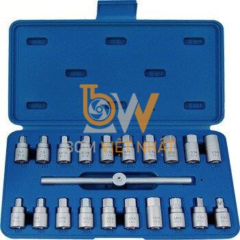 Bán Bộ đầu tuýp 10 chi tiết kingtony 4310MR
