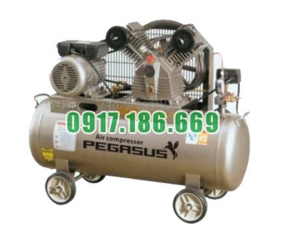 Bán Máy nén khí dây đai 220V PEGASUS TM-V-0.25/8-180L