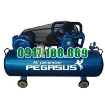 Bán Máy nén khí dây đai 220V PEGASUS TM-W-0.36/8-100L